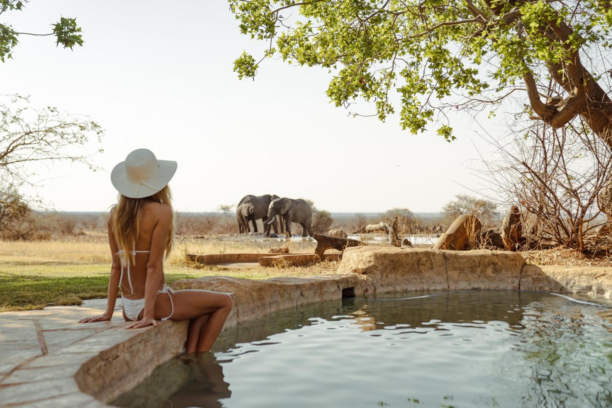 Last Word Madikwe Reserva de Madikwe Exterior foto