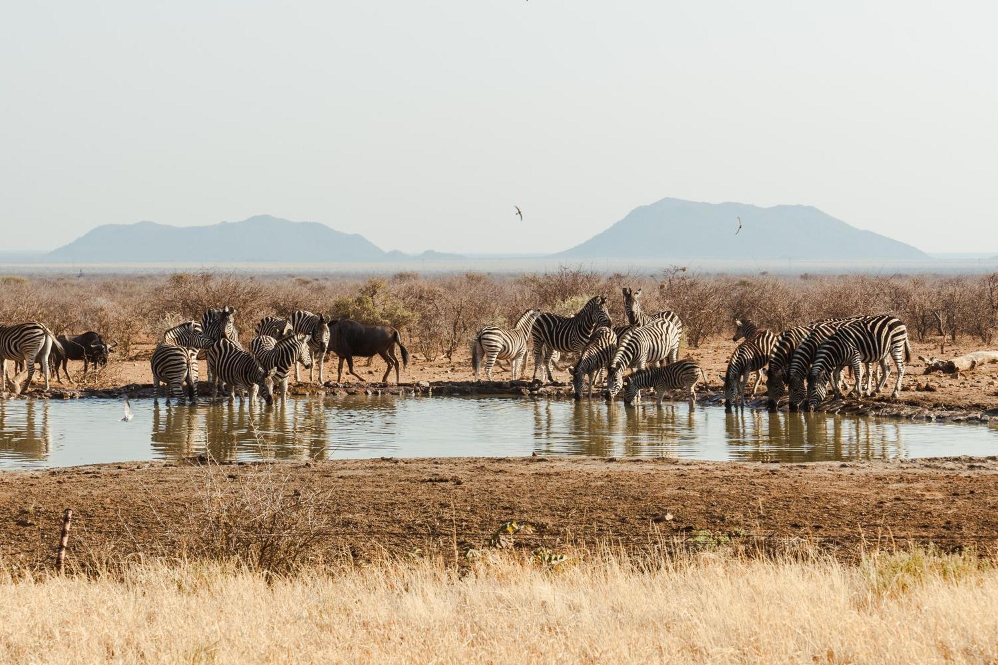 Last Word Madikwe Reserva de Madikwe Exterior foto